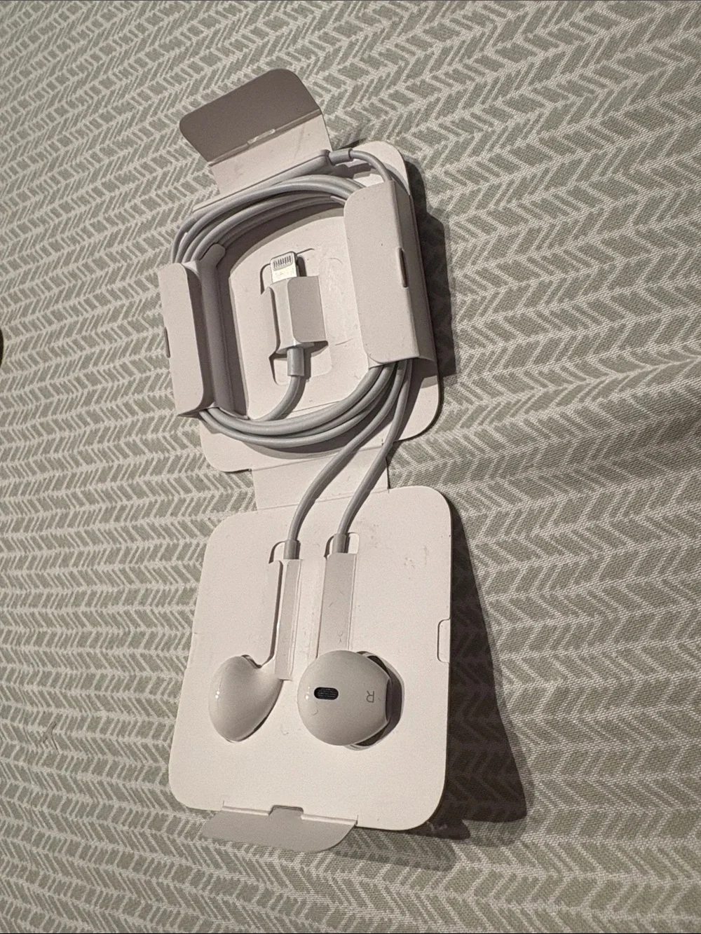Apple White Wired Earbuds with Molded Case